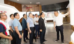 湖南槟榔深加工项目考察
