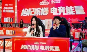 枸杞槟榔杯《无畏契约》长沙总决赛